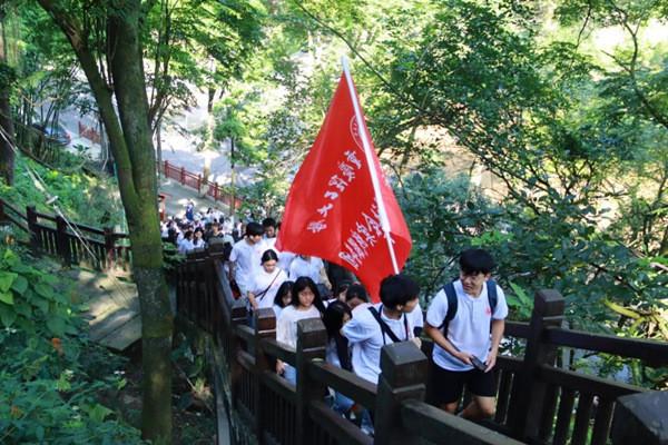 栅栏迷宫